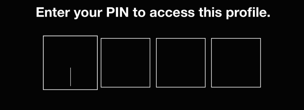 Sample image of Netflix screen requesting a pin to access the user's account.